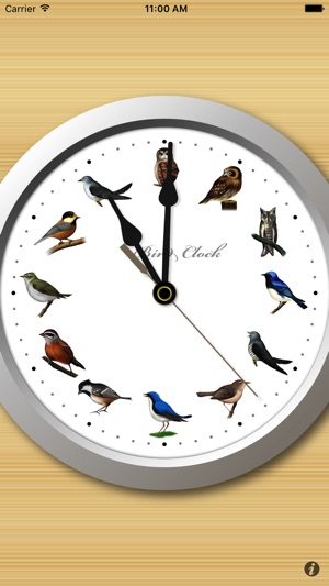 BirdClock