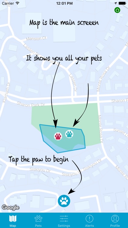 Gibi Pet GPS Tracking Service