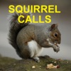 Icon Squirrel Hunting Calls