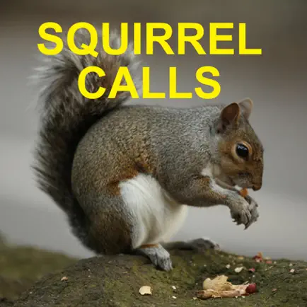 Squirrel Hunting Calls Читы