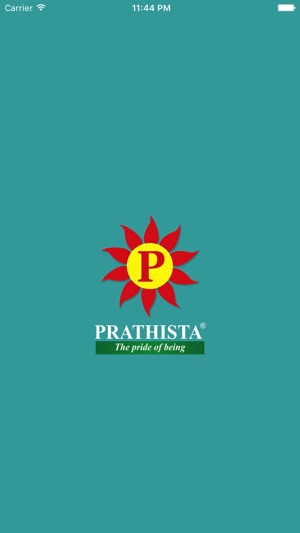 Prathista Industries Ltd