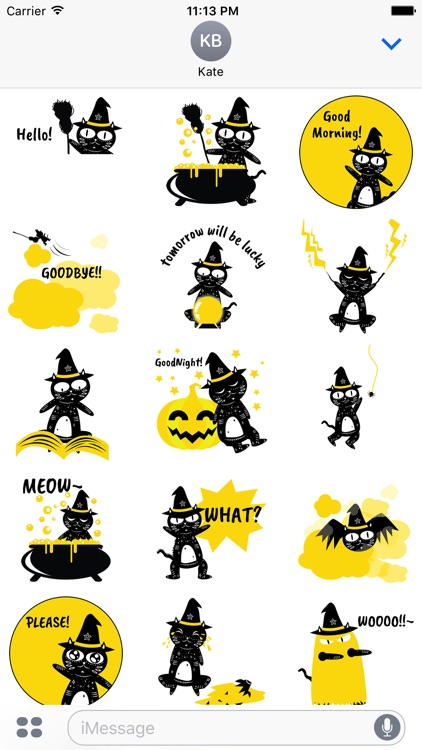 Animated Black Cat Witch Stickers Pack