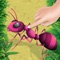 Amazing Ant Smasher, Smash insects like ant, cockroach, spider, ladybird etc with your finger