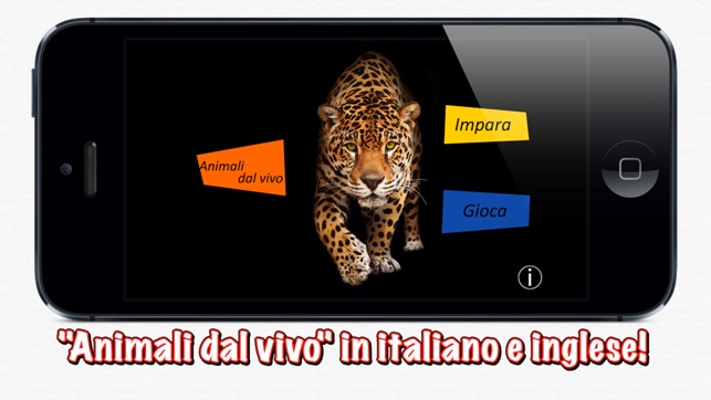 Animali dal vivo