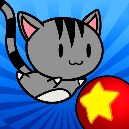Super Cat Bounce