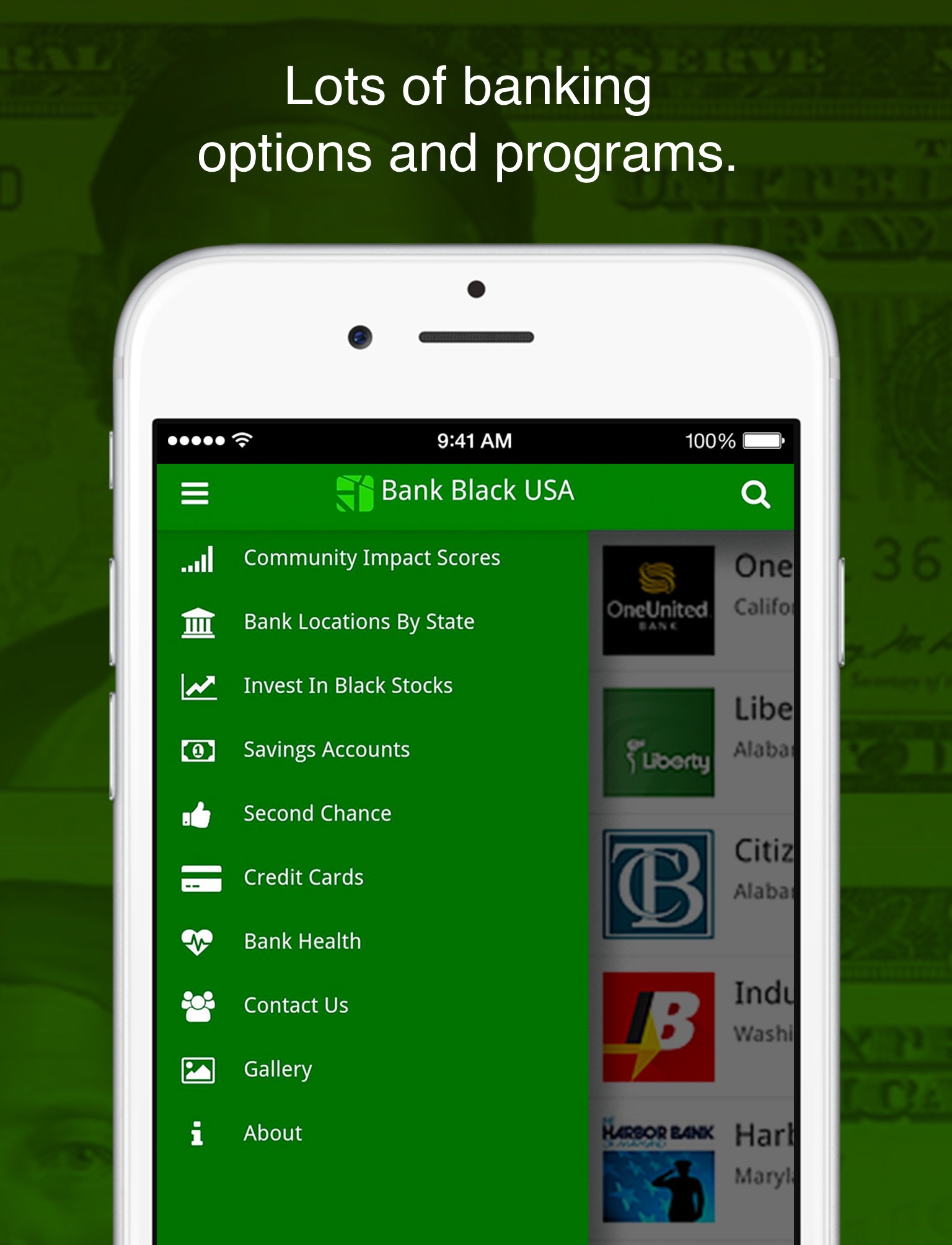 Bank Black USA screenshot 4