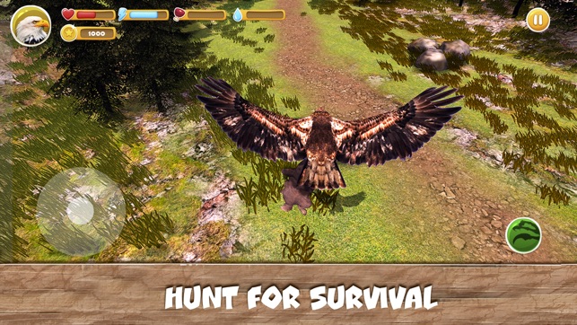 Wild Bird Survival Simulator(圖3)-速報App