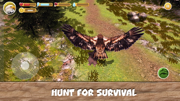 Wild Bird Survival Simulator