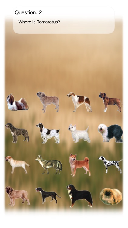 Dogs Quiz Bowwow Touch : Simple Game with 109 Dogs