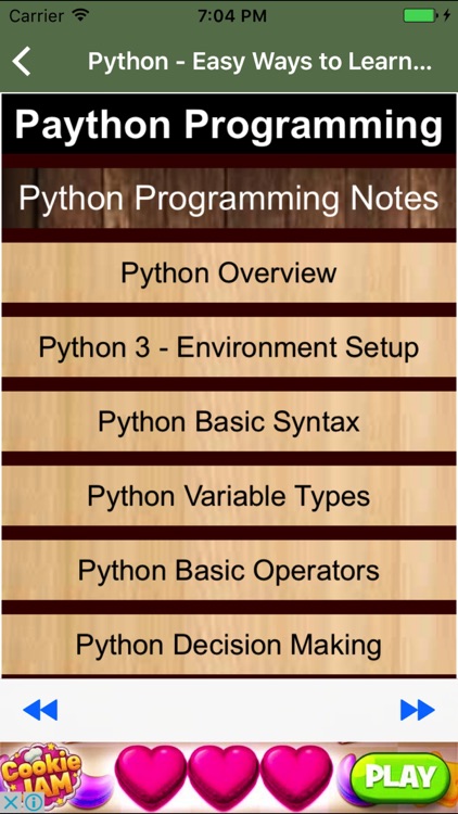 Python - Easy Ways to Learn and Master Python