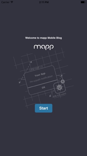 Mapp Blog