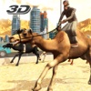 Camel Racing 3D : Camel Racing Simulation