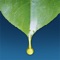 THE essential oil app, created by oil users for oil users