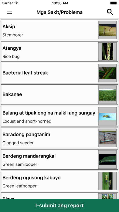 How to cancel & delete Rice Doctor Tagalog from iphone & ipad 3