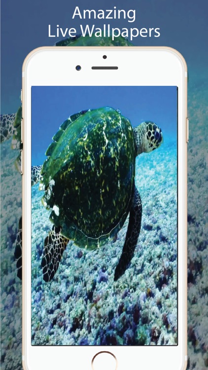 Aquarium Live Wallpapers Lite