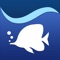 Aqua TV is a stunning, fully customisable, virtual aquarium