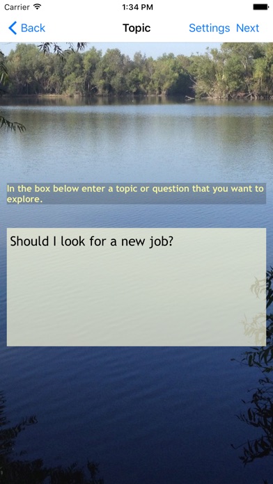 【图】Lucidate – Spark Insight Through Synergy(截图2)