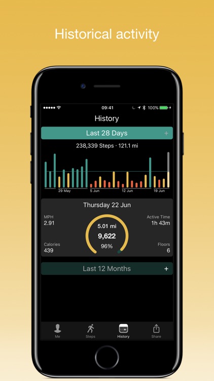 Stepwise Pedometer