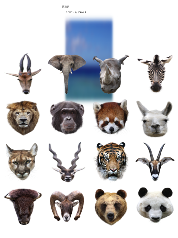 Animal Faces Touch 〜動物の顔を当ててみよう〜のおすすめ画像3