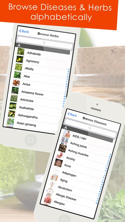 Herbs that Heal - The Herbs Guide