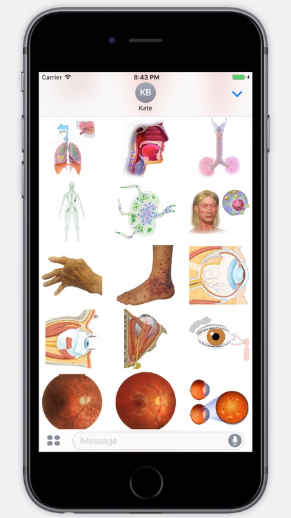 Anatomy Stickers screenshot-4