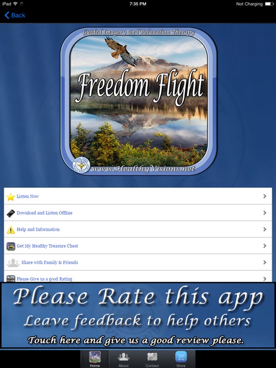 Freedom Flight for iPad