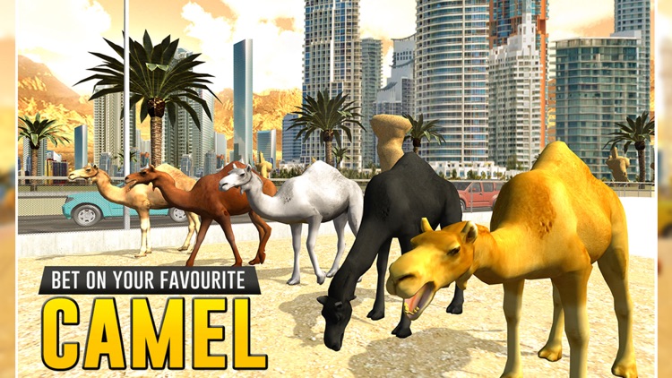 Camel Racing 3D : Camel Racing Simulation