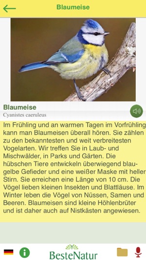 Singvögel am Gesang erkennen(圖4)-速報App