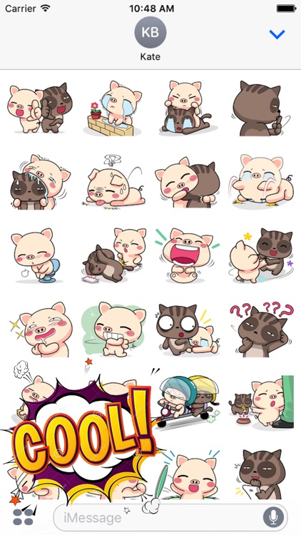 Pig and Cat Lovely Friend