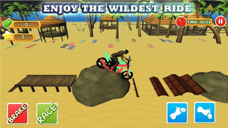 Blocky Super Moto Bike Rider