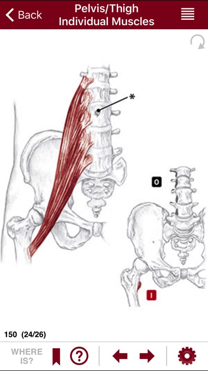 AnatomyMapp Lite