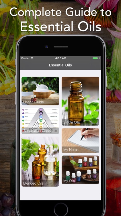 Essential Oils Reference Guide to Young Living