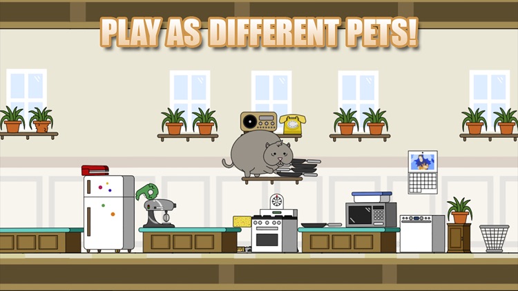 Clumsy Cat screenshot-3