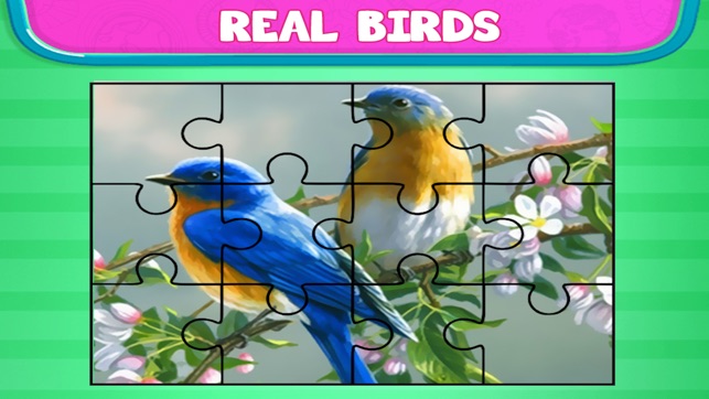 Love Bird Jigsaw Puzzle paradise : Train The Brain(圖5)-速報App