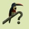 Full-featured birding field guide for Costa Rica, including bird photographs, range maps, calls, field marks, description, habitat