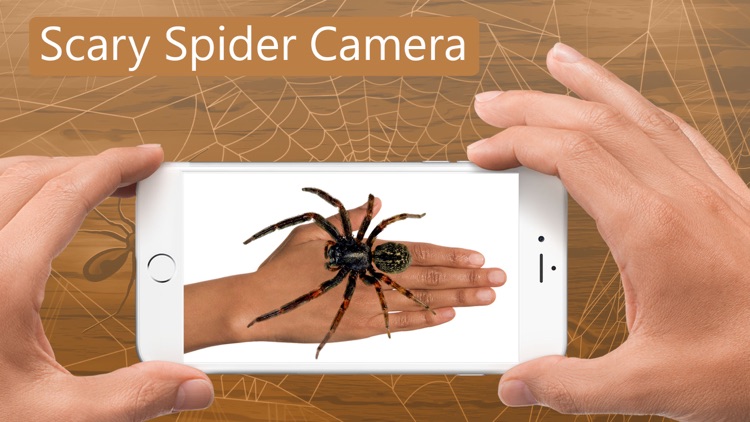 Spider Scare Prank - Magic Spider screenshot-3