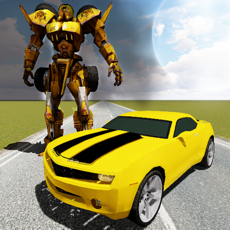 Activities of Robo Taxi Transformation Sim