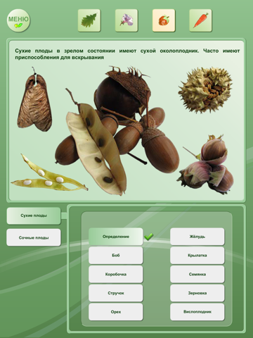 Biology - Plant handbook HD screenshot 4