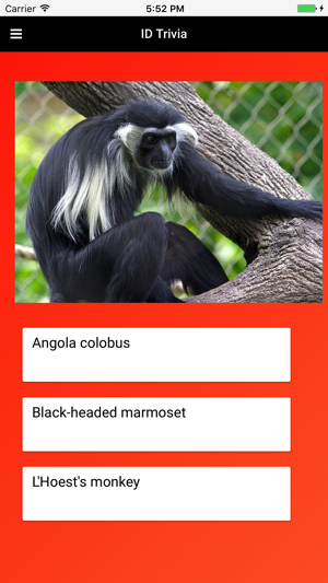 Primate Species: Monkeys, Gorillas, & Macaques(圖4)-速報App