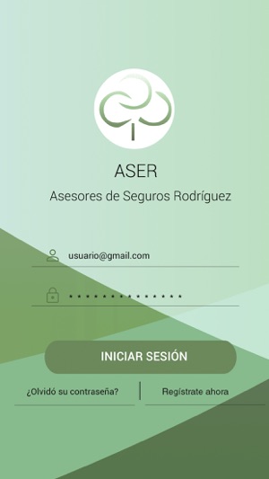 Asesores Aser SA(圖1)-速報App