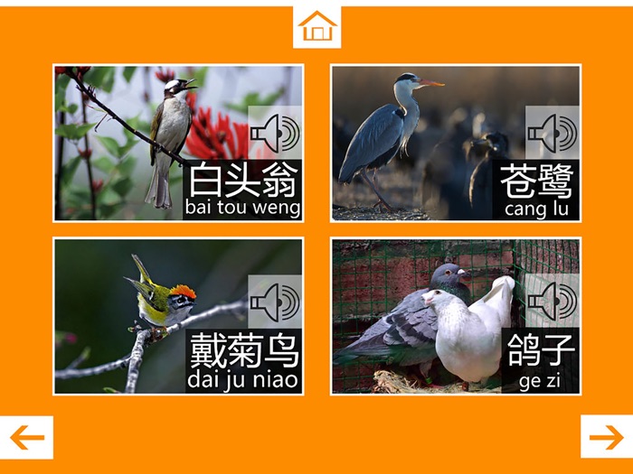 动物叫声-鸟类篇：动物园世界的叫声游戏