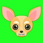 Fawn Chihuahua Photo Booth