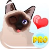 Siamese Cat Emoji – Stickers for Text Messages Pro