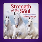 Soul Strength by Shakti Durga
