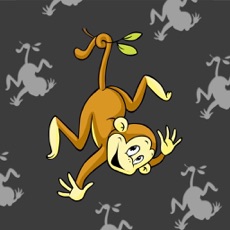 Activities of Sombras