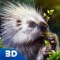 Porcupine Forest Life Simulator