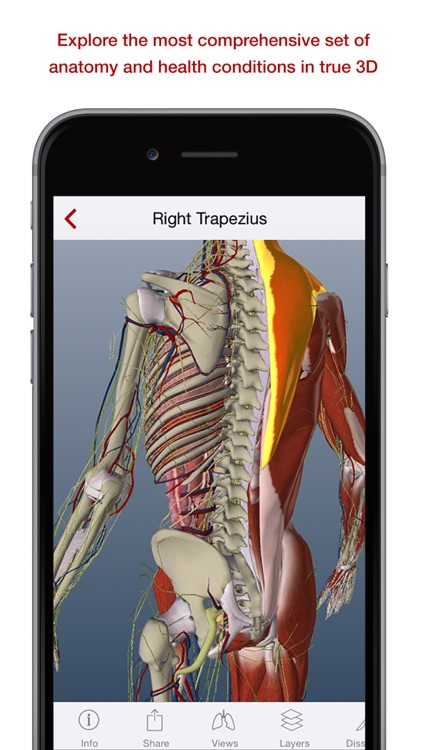 BioDigital Human: 3D Anatomy and Disease Models screenshot-0