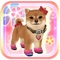 Let's coordinate your own puppy