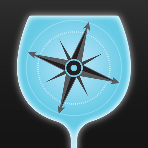 Cocktail Compass Icon