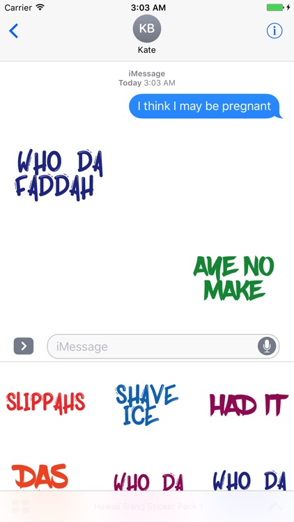 Hawaii Slang Sticker Pack 1